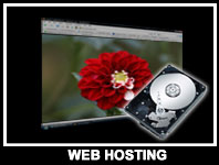Web Hosting